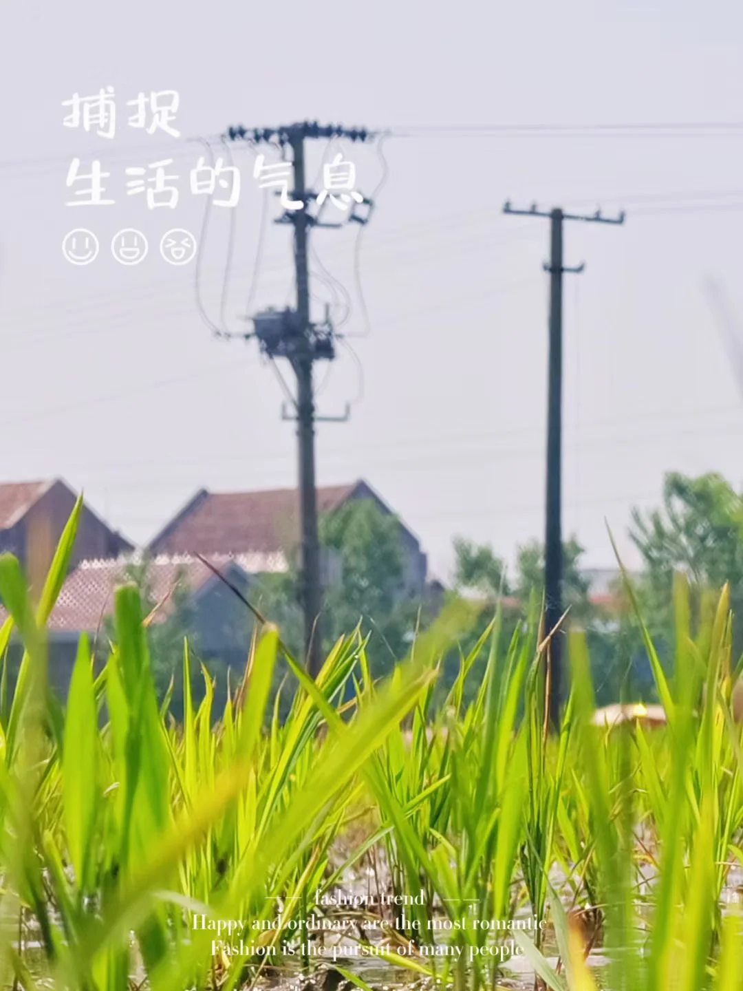 摄影 15